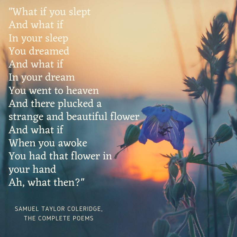 What if you slept ? 0 (0)