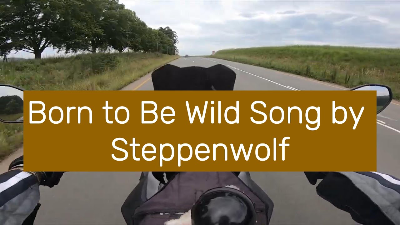 born to be wild – Steppenwolf 5 (1)