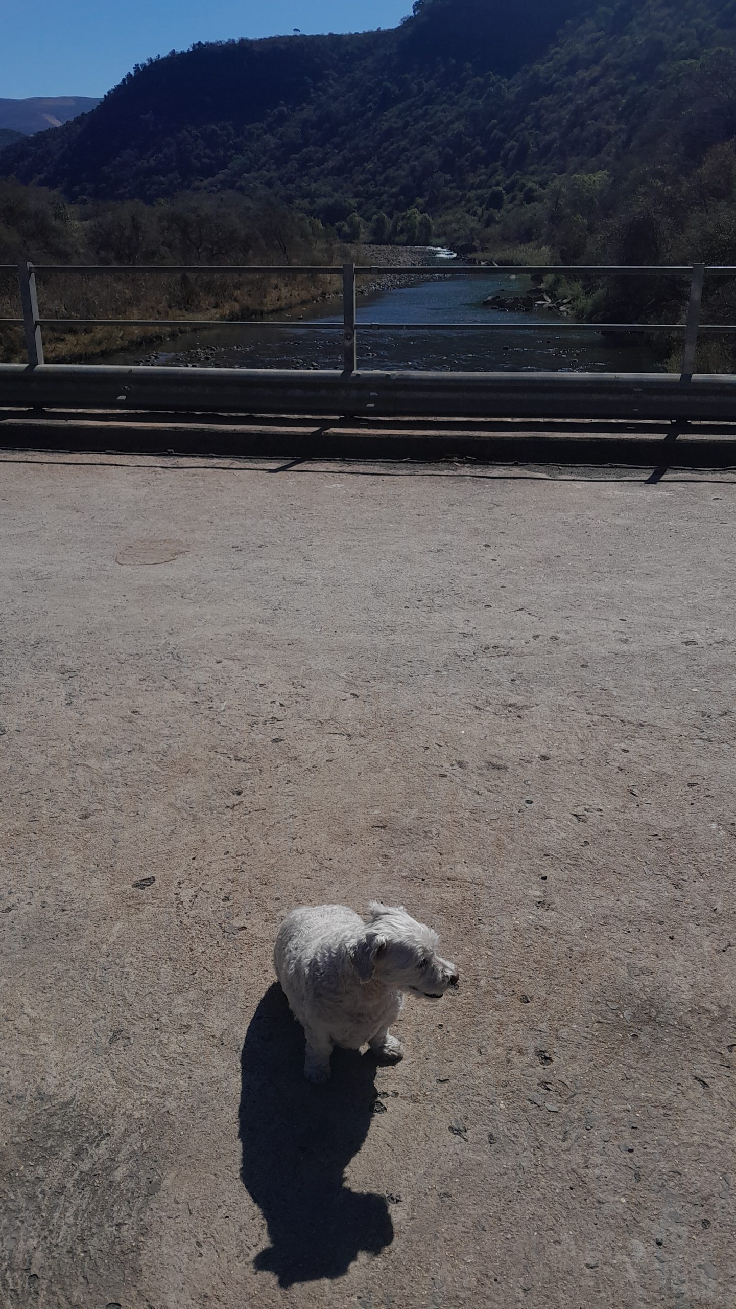 Hela Hella Pass 0 (0)