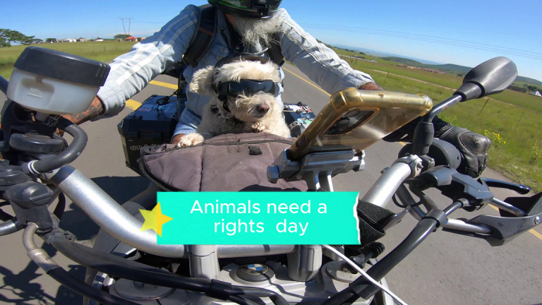 Animals have rights #humanrightsday #southafrica