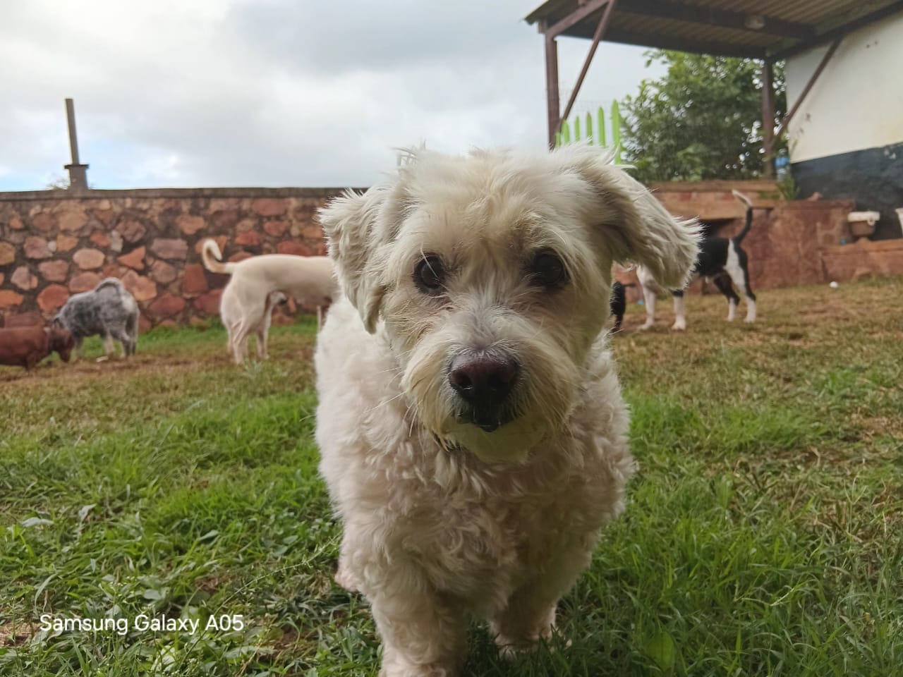 Jonty  spends a nite out 0 (0)