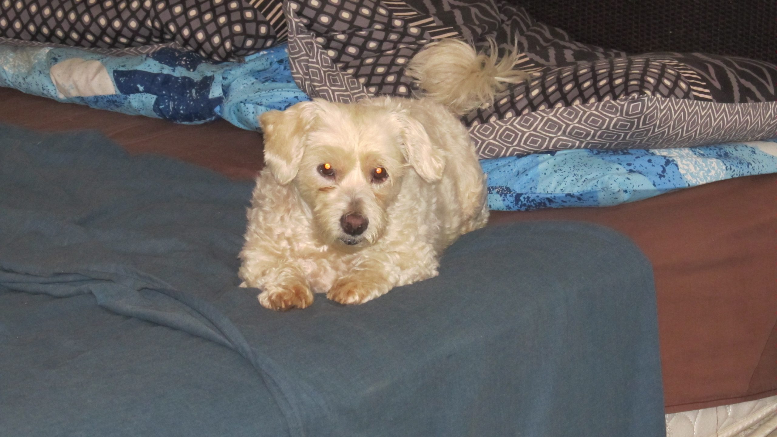 time to wash the linen 5 (1)