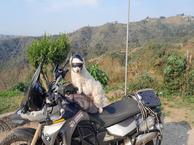 Jonty on patrol 4 (1)