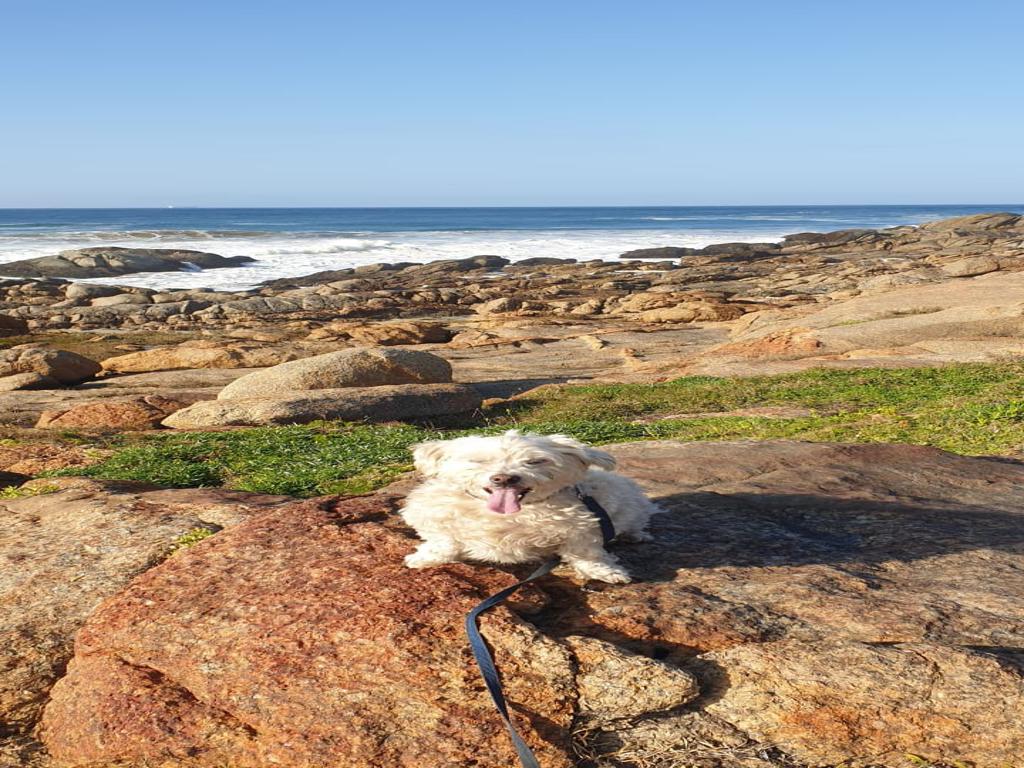 KZN South coast 5 (1)