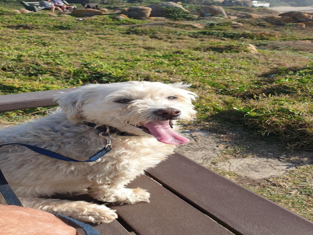 glenmore south coast