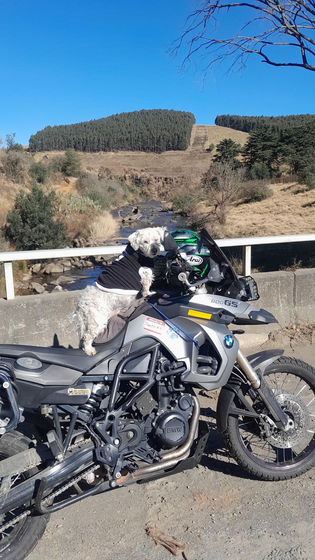 The beauty of Dargle KZN in winter 5 (4)