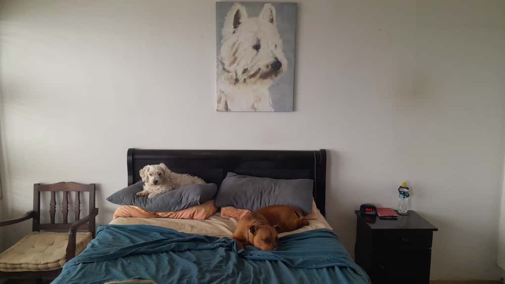 waiting for the rain to stop 5 (3)