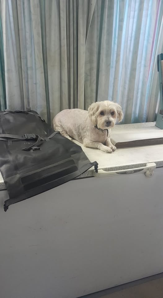 Some days are a waiting game 5 (1)