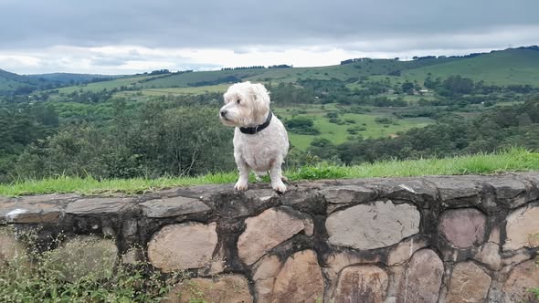 Left right and I don't know 😕