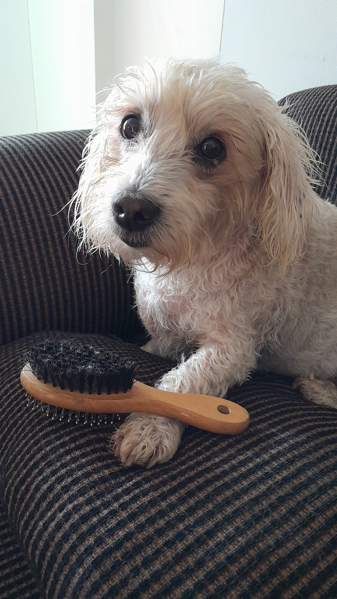 Bad things happening here