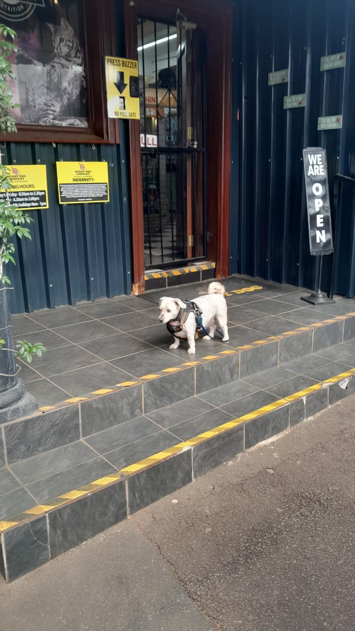 jonty smells the biltong 5 (2)