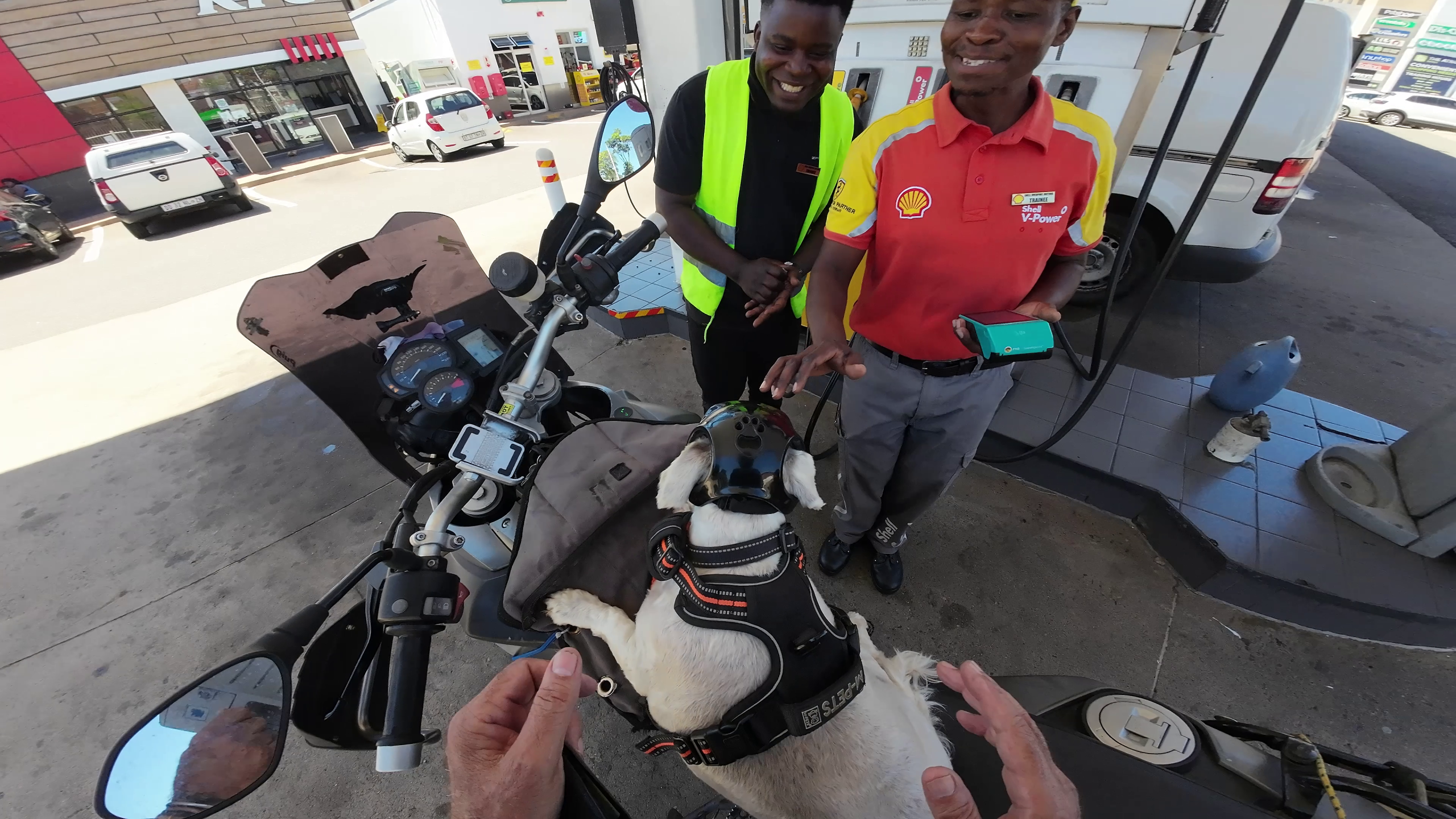 Fans of Jonty Knine 5 (1)