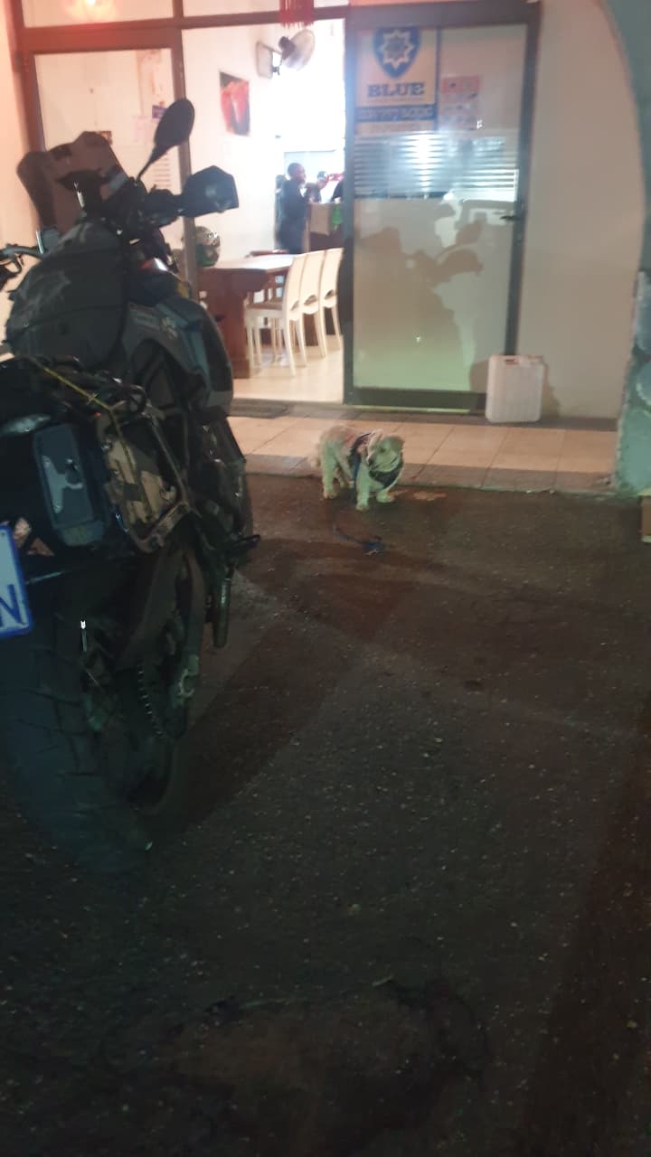 Takeaway king Jonty 5 (1)