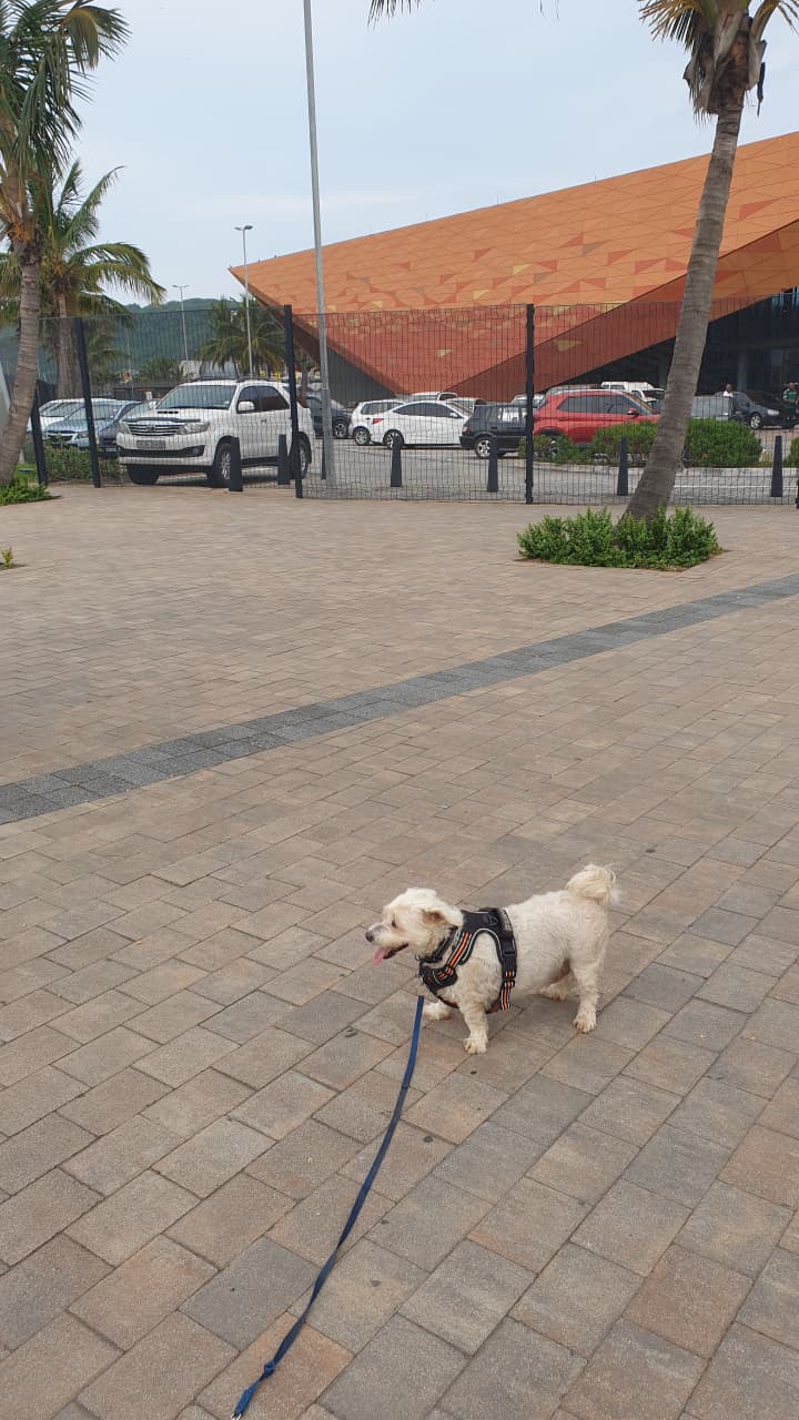 Catch of breath and water stop in Durban’s summer 5 (1)