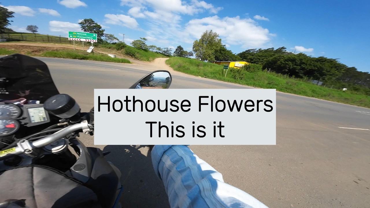 Hothouse Flowers – This is it 5 (2)