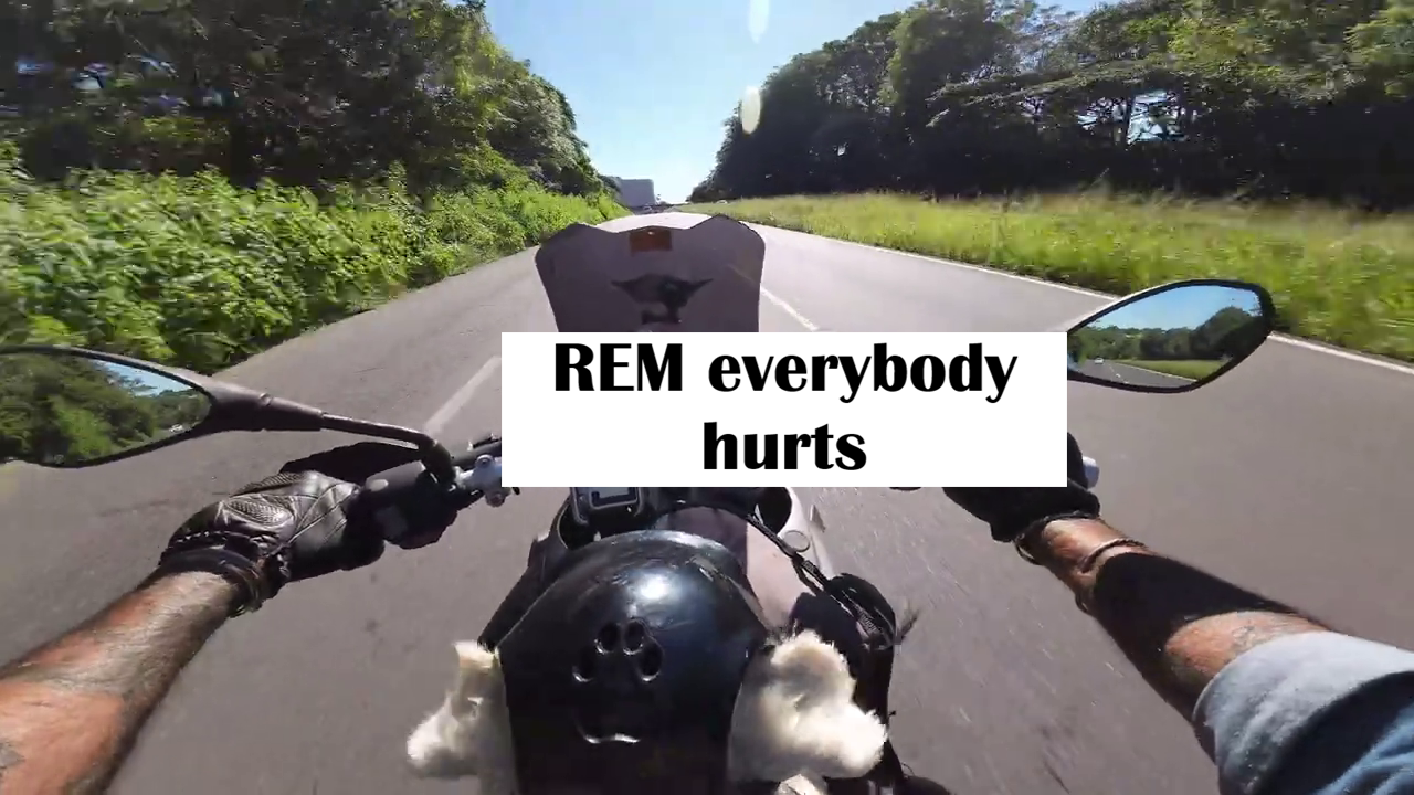 REM Everybody hurts