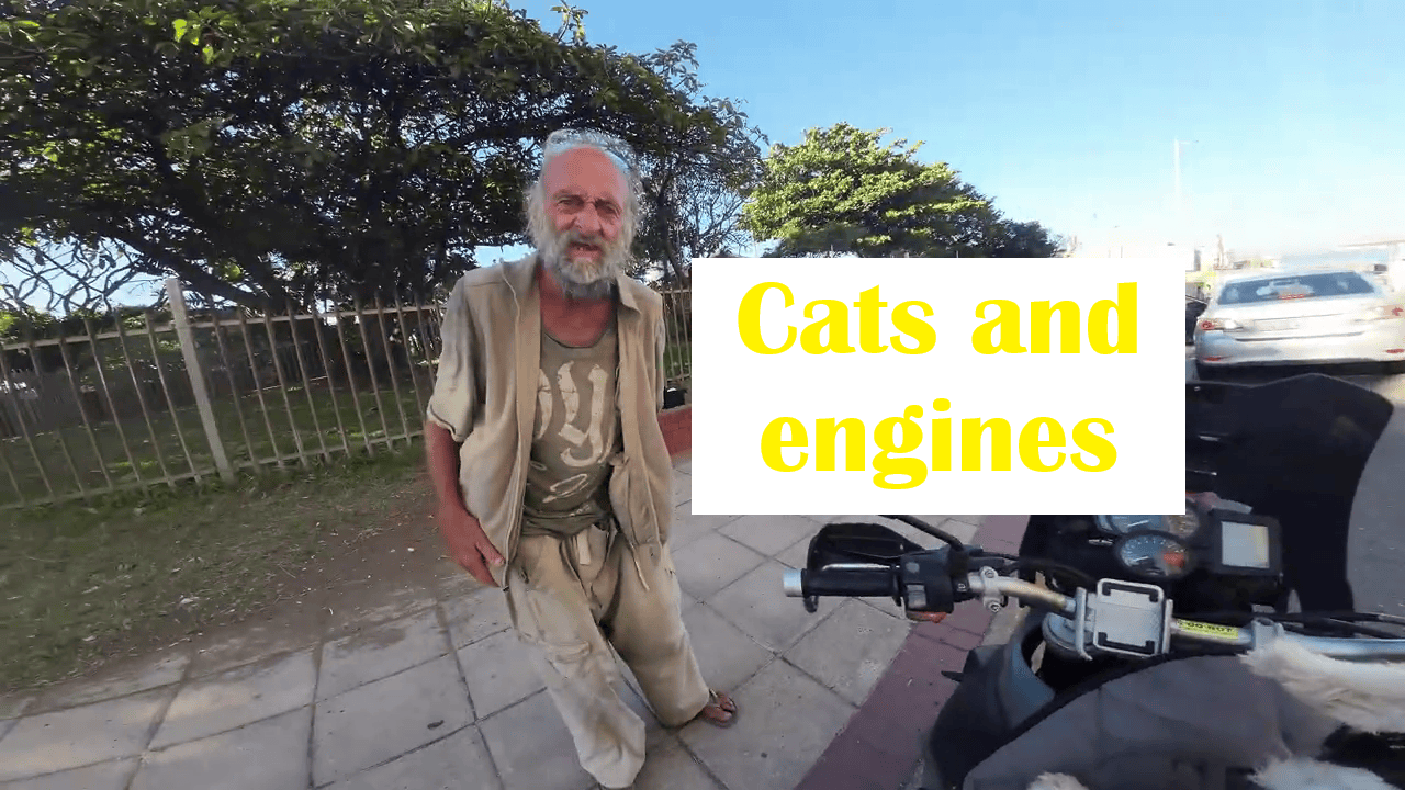 cats and engines