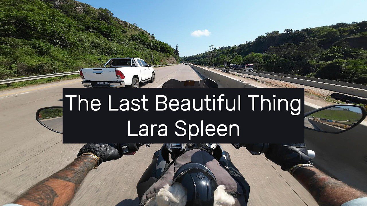 The Last Beautiful Thing - Lara Spleen